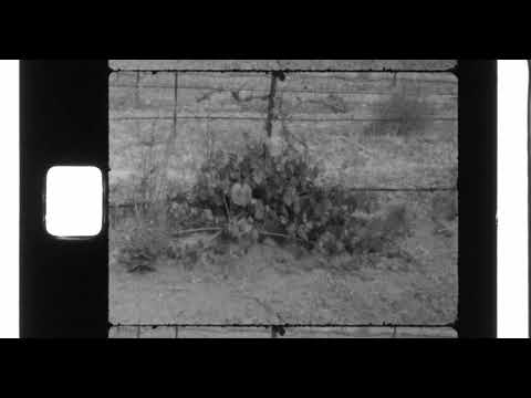 Pro8-22 B&W Super 8 Package